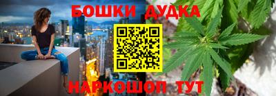 МДПВ Будённовск