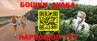 МДПВ Будённовск