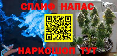 гидропоника Бузулук
