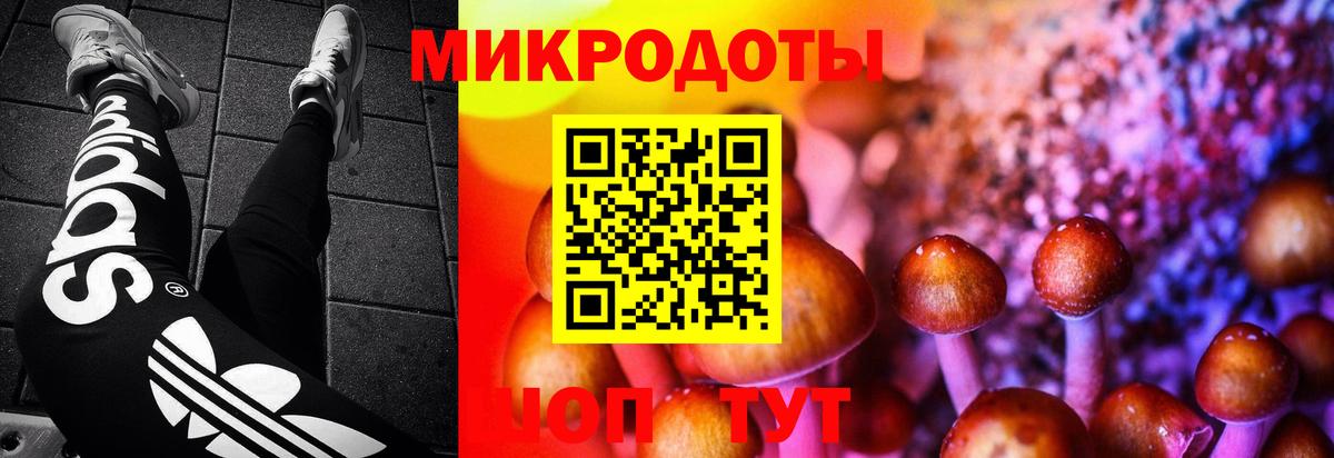 Псилоцибиновые грибы ЛСД  Вход с VPN  Стрежевой  Псилоцибиновые грибы Psilocybe 